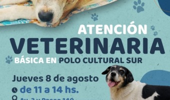 ESTE JUEVES SE REALIZAR UNA NUEVA JORNADA DE ATENCIN VETERINARIA